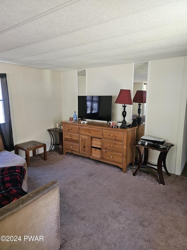 living room featuring carpet floors and a textured ceiling