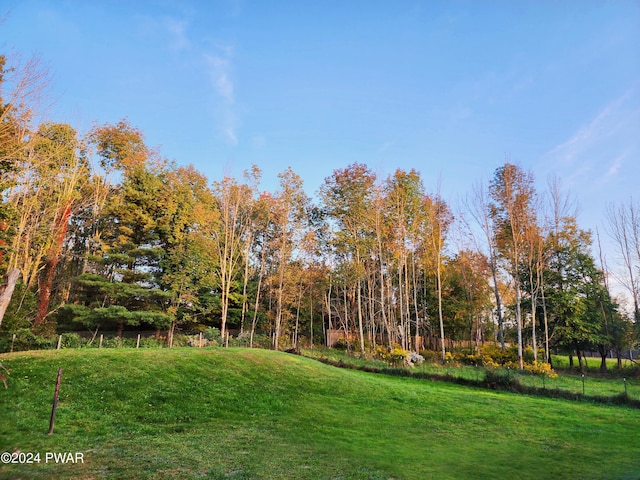 145 Father John Dr, Lake Ariel, PA 18436 - view of grassy yard