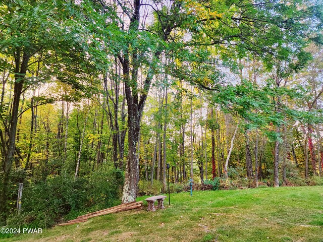 145 Father John Dr, Lake Ariel, PA 18436 - view of grassy yard with a forest view