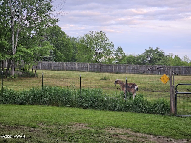 145 Father John Dr, Lake Ariel, PA 18436 - view of yard