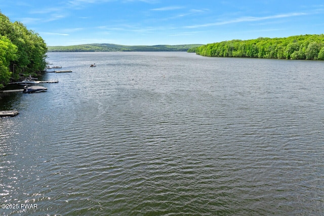 88 Paupack Point Rd, Hawley, PA 18428 - water view
