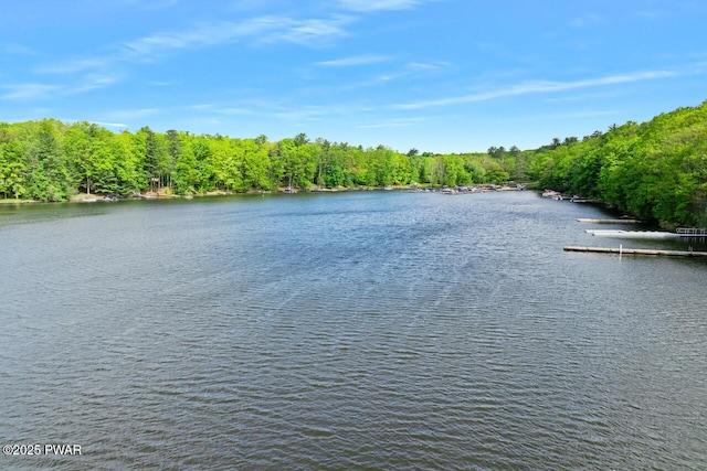 88 Paupack Point Rd, Hawley, PA 18428 - water view with a heavily wooded area and a dock