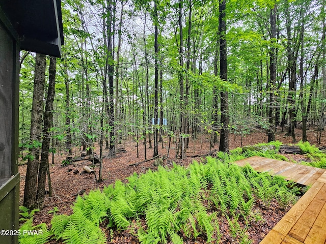 23 Highland Ln, Hawley, PA 18428 - view of yard