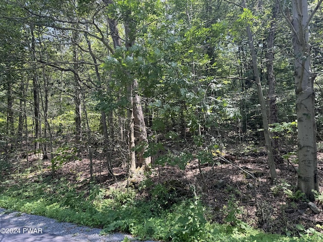 1109 Fawn Path, Gouldsboro, PA 18424 - photo 16