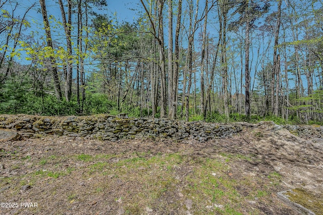 133 Neil Thompson Rd, Lackawaxen, PA 18435 - view of nature
