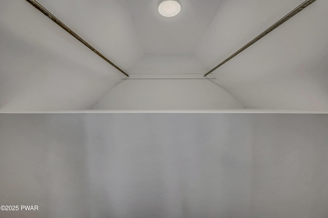 133 Neil Thompson Rd, Lackawaxen, PA 18435 - walk in closet with lofted ceiling