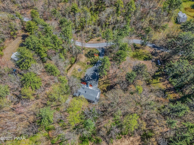 133 Neil Thompson Rd, Lackawaxen, PA 18435 - view of subject property
