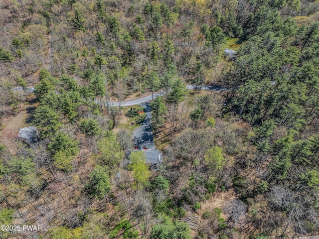 133 Neil Thompson Rd, Lackawaxen, PA 18435 - drone / aerial view