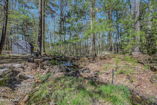 133 Neil Thompson Rd, Lackawaxen, PA 18435 - view of undeveloped land
