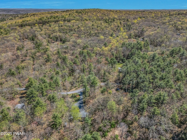 133 Neil Thompson Rd, Lackawaxen, PA 18435 - aerial view of property and surrounding area with a forest