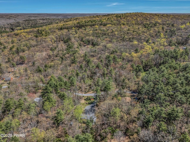 133 Neil Thompson Rd, Lackawaxen, PA 18435 - drone / aerial view of a forest