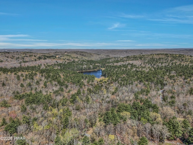 133 Neil Thompson Rd, Lackawaxen, PA 18435 - aerial view of a heavily wooded area and a nearby body of water