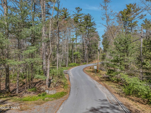 133 Neil Thompson Rd, Lackawaxen, PA 18435 - view of asphalt street with a wooded view