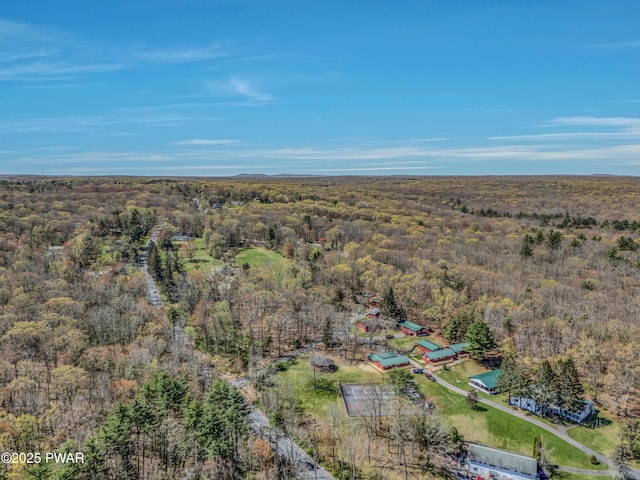 133 Neil Thompson Rd, Lackawaxen, PA 18435 - aerial overview of property's location with a heavily wooded area
