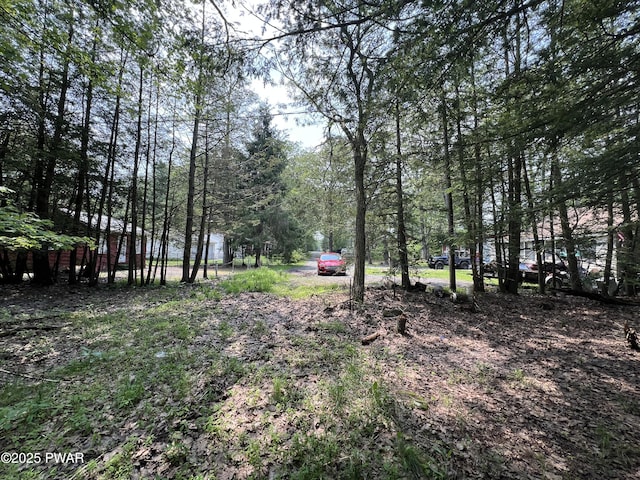 142 E Balsam Rd, Greentown, PA 18426