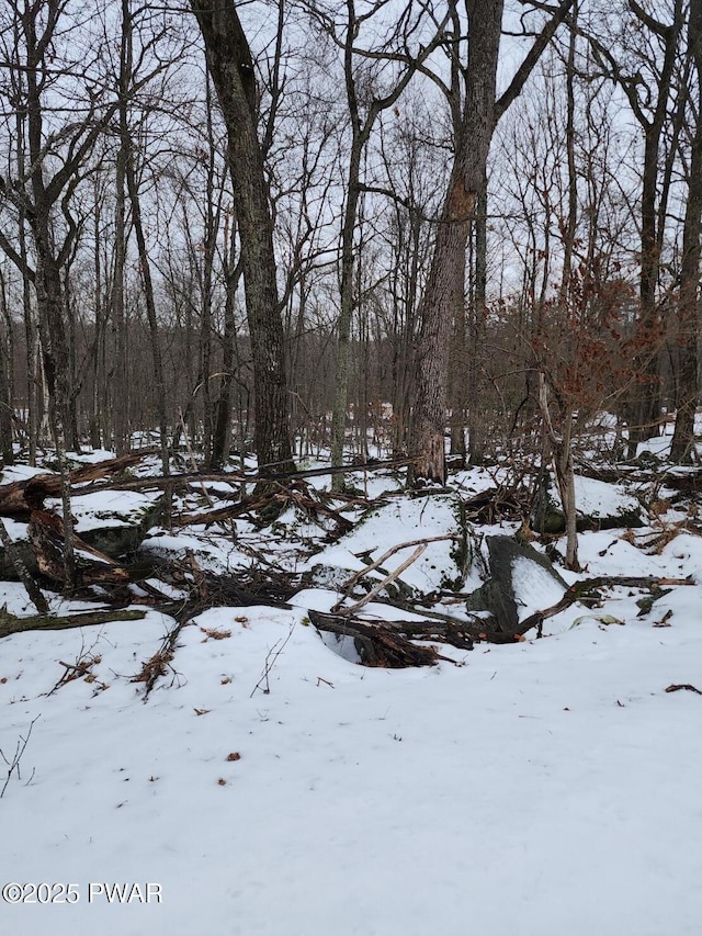 Sugar Loaf Ln, Tafton, PA 18464