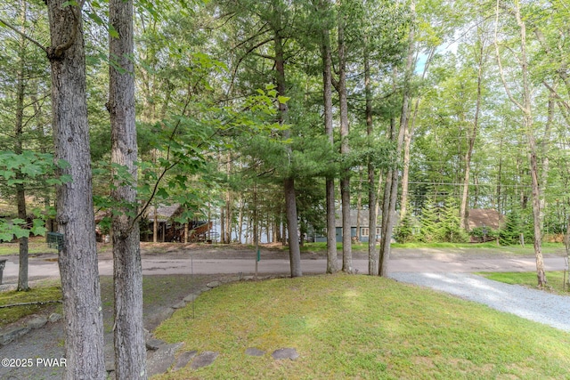 30 Lakeside Dr, Lakeville, PA 18438 - photo 15