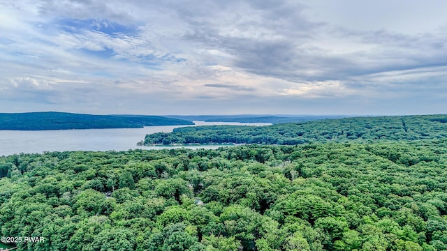 30 Lakeside Dr, Lakeville, PA 18438 - photo 72