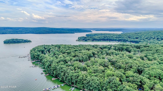 30 Lakeside Dr, Lakeville, PA 18438 - photo 74