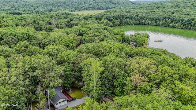 30 Lakeside Dr, Lakeville, PA 18438 - photo 73