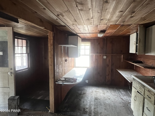 kitchen featuring wood walls, dark hardwood / wood-style flooring, and wood ceiling