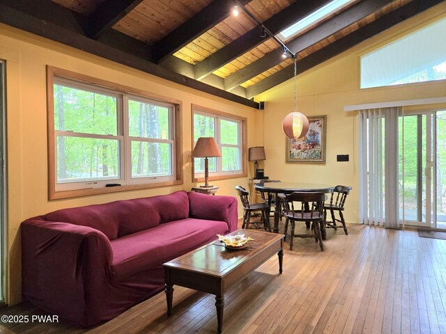 113 Widgeon Ln, Lords Valley, PA 18428 - living area with wood ceiling and wood-type flooring