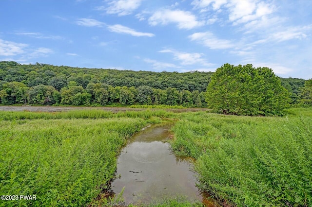 view of landscape featuring a water view