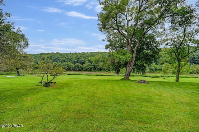 view of home's community with a yard