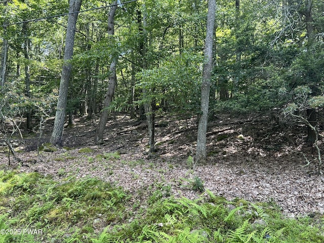LOT144 Indian Dr, Greentown, PA 18426 - photo 6