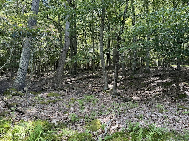 LOT144 Indian Dr, Greentown, PA 18426 - photo 4