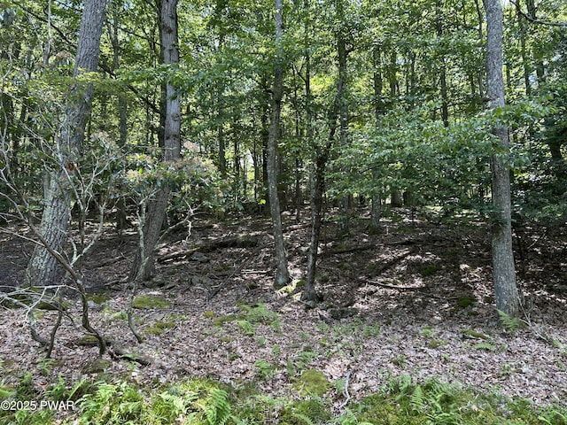 LOT144 Indian Dr, Greentown, PA 18426 - photo 7