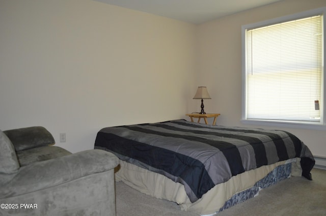 292 Well Rd, Greeley, PA 18425 - bedroom with carpet