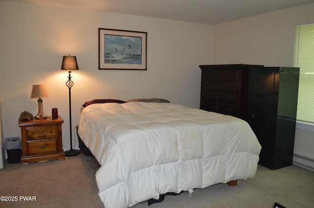 292 Well Rd, Greeley, PA 18425 - view of carpeted bedroom