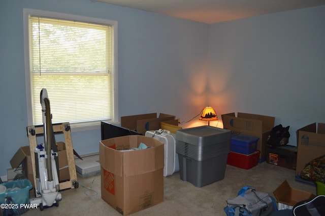 292 Well Rd, Greeley, PA 18425 - miscellaneous room with healthy amount of natural light and carpet flooring
