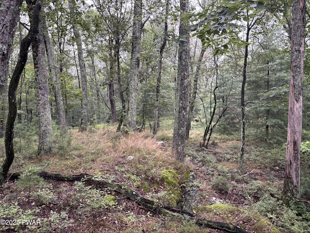 LOT785 Jack Pine Dr, Dingmans Ferry, PA 18328 - photo 17