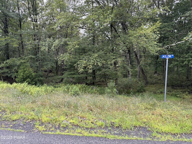 LOT785 Jack Pine Dr, Dingmans Ferry, PA 18328 - photo 2