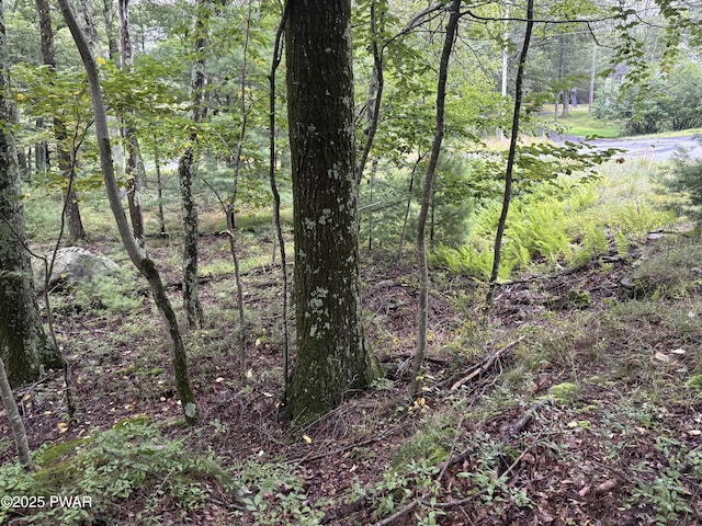 LOT785 Jack Pine Dr, Dingmans Ferry, PA 18328 - photo 21