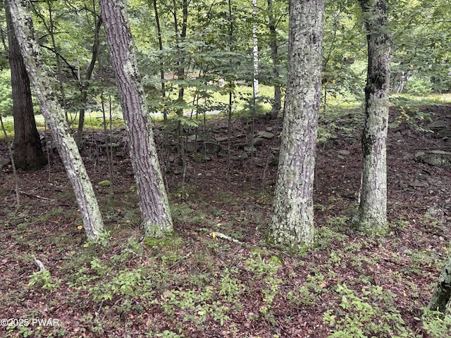 LOT785 Jack Pine Dr, Dingmans Ferry, PA 18328 - photo 6