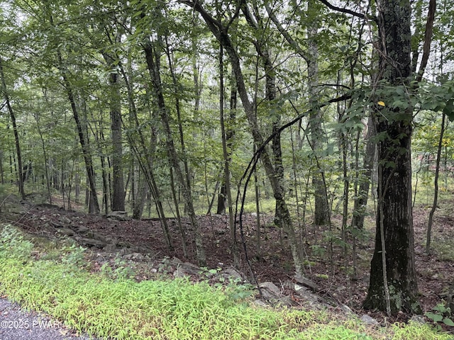 LOT785 Jack Pine Dr, Dingmans Ferry, PA 18328 - photo 4