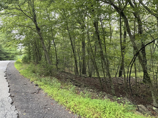 LOT785 Jack Pine Dr, Dingmans Ferry, PA 18328 - photo 3