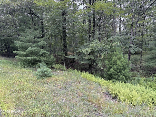 LOT785 Jack Pine Dr, Dingmans Ferry, PA 18328 - photo 25