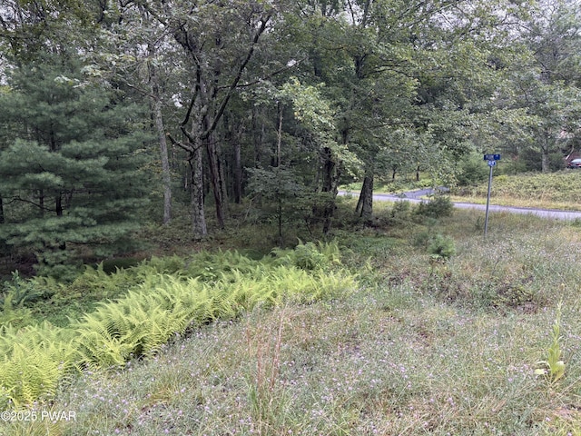 LOT785 Jack Pine Dr, Dingmans Ferry, PA 18328 - photo 26
