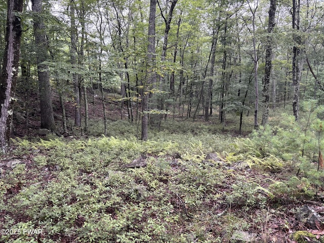 LOT785 Jack Pine Dr, Dingmans Ferry, PA 18328 - photo 5