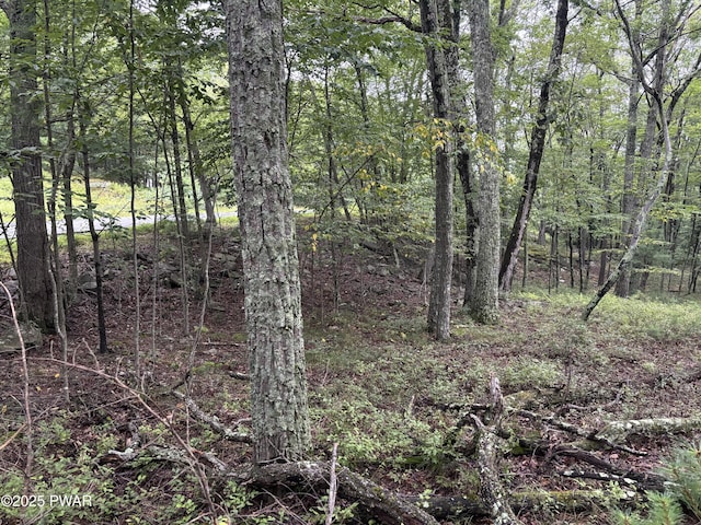 LOT785 Jack Pine Dr, Dingmans Ferry, PA 18328 - photo 11