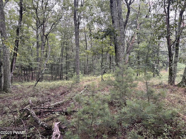 LOT785 Jack Pine Dr, Dingmans Ferry, PA 18328 - photo 18