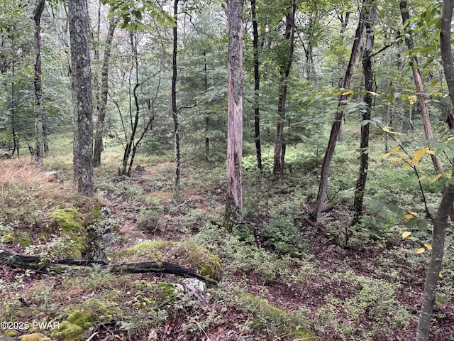 LOT785 Jack Pine Dr, Dingmans Ferry, PA 18328 - photo 14