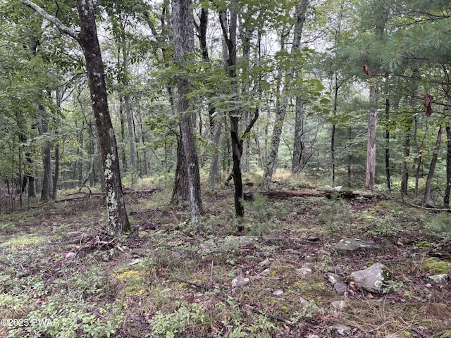 LOT785 Jack Pine Dr, Dingmans Ferry, PA 18328 - photo 1