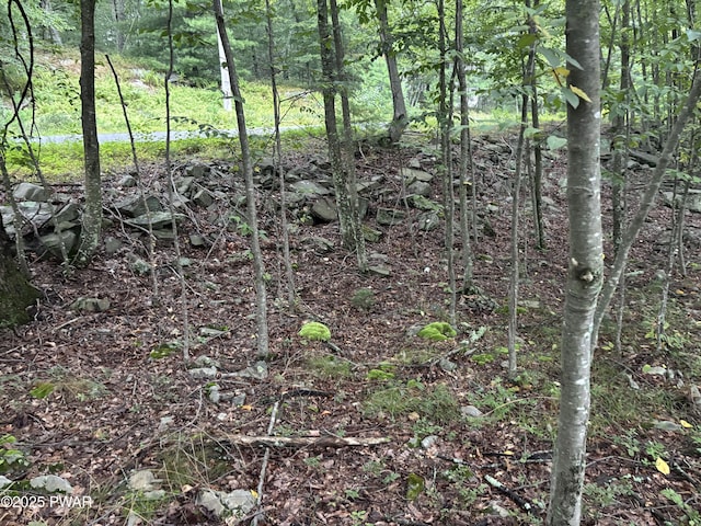 LOT785 Jack Pine Dr, Dingmans Ferry, PA 18328 - photo 8