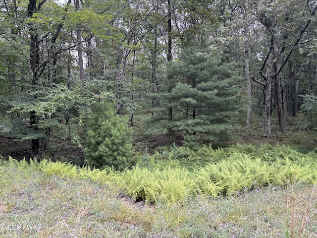 LOT785 Jack Pine Dr, Dingmans Ferry, PA 18328 - photo 19