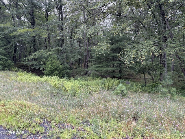 LOT785 Jack Pine Dr, Dingmans Ferry, PA 18328 - photo 22